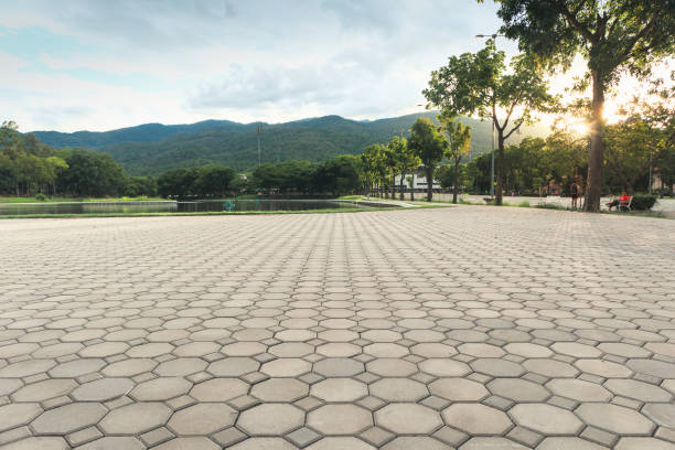 Best Concrete Paver Driveway  in Westview, FL